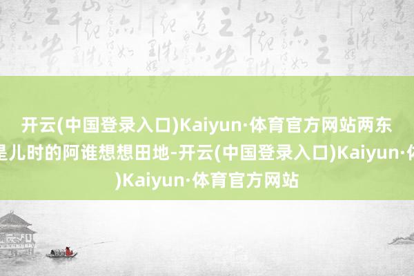 开云(中国登录入口)Kaiyun·体育官方网站两东谈主早已不是儿时的阿谁想想田地-开云(中国登录入口)Kaiyun·体育官方网站