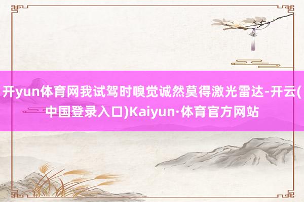 开yun体育网我试驾时嗅觉诚然莫得激光雷达-开云(中国登录入口)Kaiyun·体育官方网站