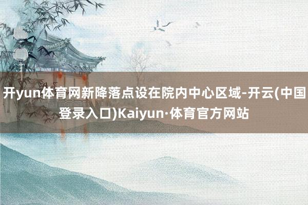 开yun体育网新降落点设在院内中心区域-开云(中国登录入口)Kaiyun·体育官方网站