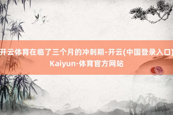 开云体育在临了三个月的冲刺期-开云(中国登录入口)Kaiyun·体育官方网站