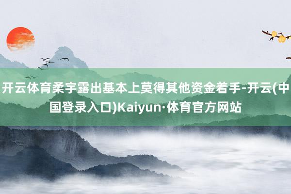 开云体育柔宇露出基本上莫得其他资金着手-开云(中国登录入口)Kaiyun·体育官方网站