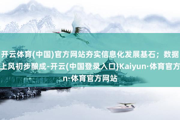 开云体育(中国)官方网站夯实信息化发展基石；数据限度上风初步酿成-开云(中国登录入口)Kaiyun·体育官方网站