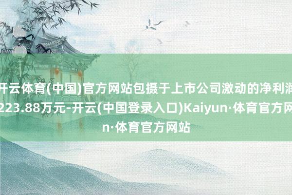 开云体育(中国)官方网站包摄于上市公司激动的净利润为223.88万元-开云(中国登录入口)Kaiyun·体育官方网站