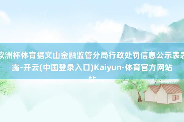 欧洲杯体育据文山金融监管分局行政处罚信息公示表表露-开云(中国登录入口)Kaiyun·体育官方网站