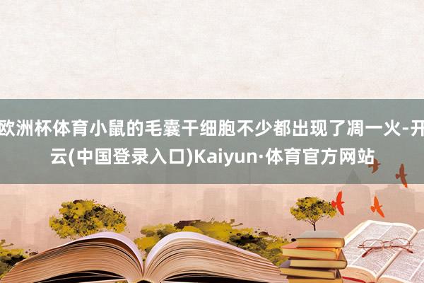 欧洲杯体育小鼠的毛囊干细胞不少都出现了凋一火-开云(中国登录入口)Kaiyun·体育官方网站