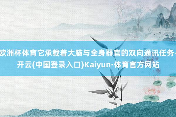 欧洲杯体育它承载着大脑与全身器官的双向通讯任务-开云(中国登录入口)Kaiyun·体育官方网站