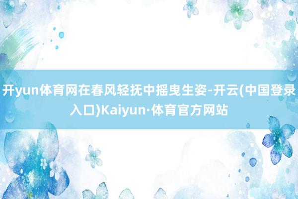 开yun体育网在春风轻抚中摇曳生姿-开云(中国登录入口)Kaiyun·体育官方网站