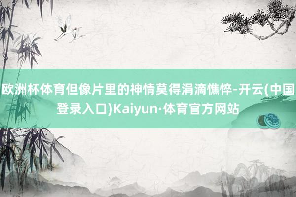 欧洲杯体育但像片里的神情莫得涓滴憔悴-开云(中国登录入口)Kaiyun·体育官方网站
