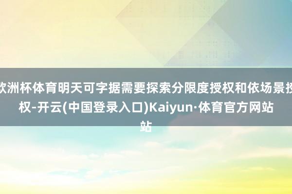欧洲杯体育明天可字据需要探索分限度授权和依场景授权-开云(中国登录入口)Kaiyun·体育官方网站