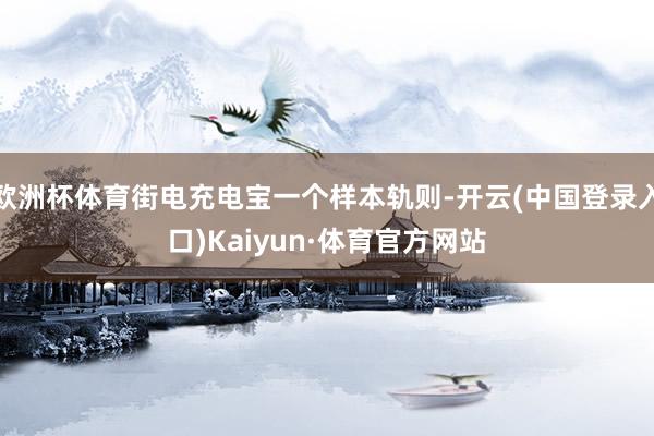 欧洲杯体育街电充电宝一个样本轨则-开云(中国登录入口)Kaiyun·体育官方网站