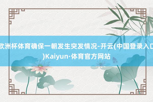 欧洲杯体育确保一朝发生突发情况-开云(中国登录入口)Kaiyun·体育官方网站