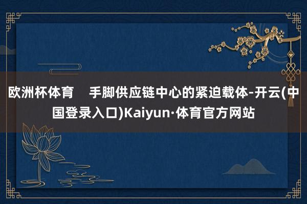 欧洲杯体育    手脚供应链中心的紧迫载体-开云(中国登录入口)Kaiyun·体育官方网站